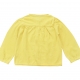 Yellow jacket